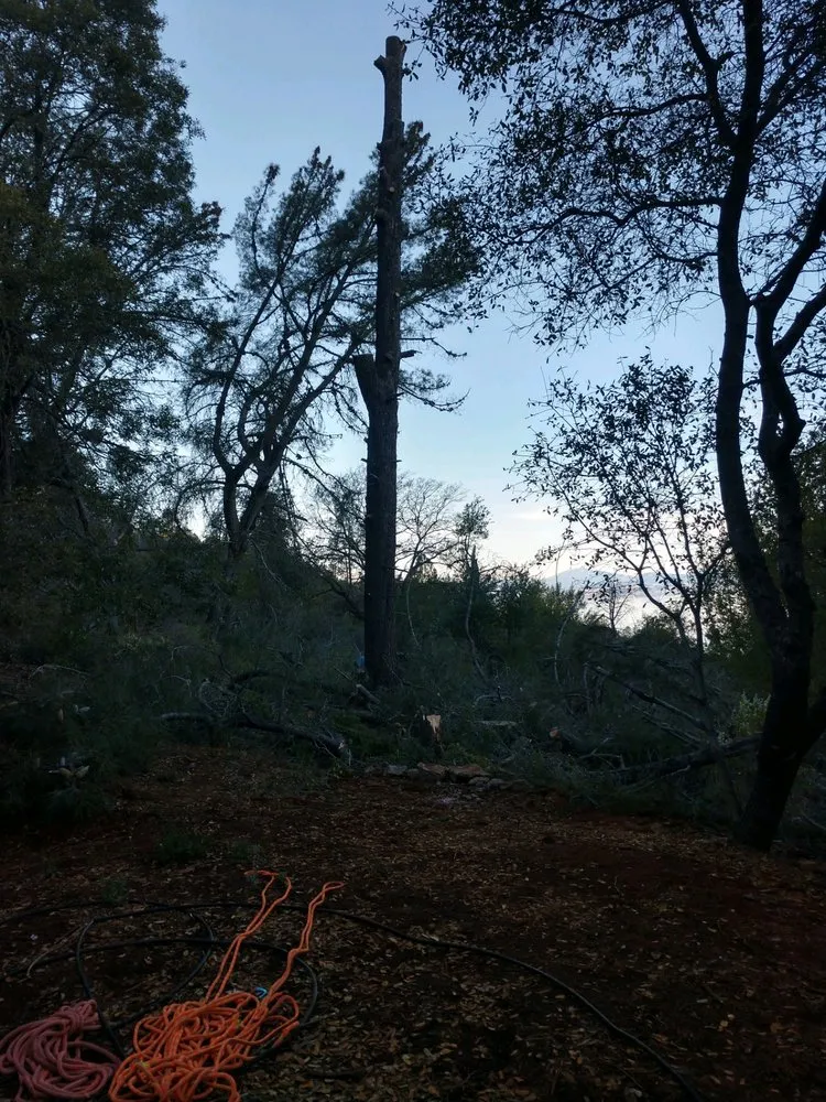 Custom garden landscaping experts serving Lucerne, CA - Anthony's Property Restoration and Tree service