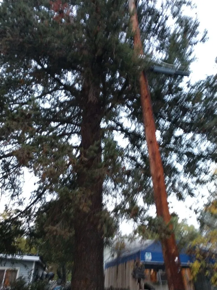 Custom landscape design for residential properties across Lucerne, CA - Anthony's Property Restoration and Tree service