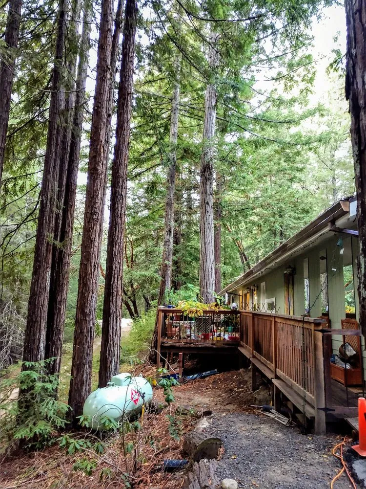 Professional lawn mowing service experts serving Lucerne, CA - Anthony's Property Restoration and Tree service