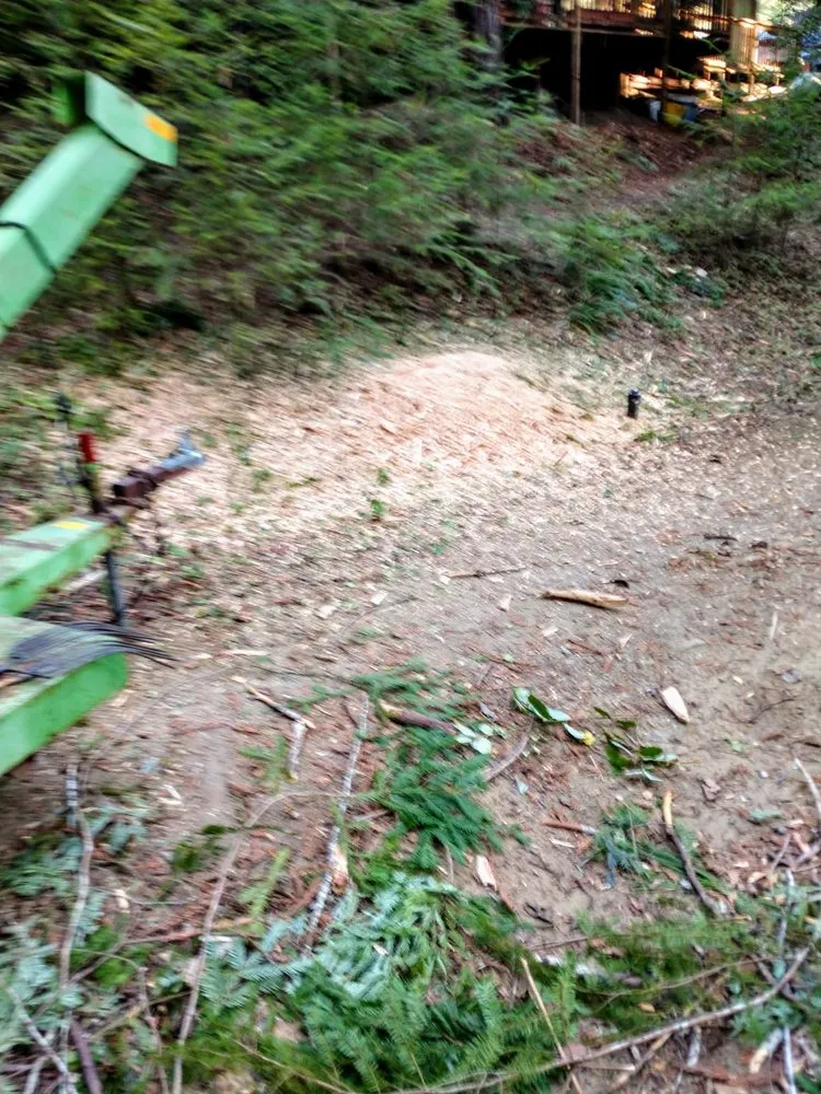 Reliable landscape design experts serving Lucerne, CA - Anthony's Property Restoration and Tree service