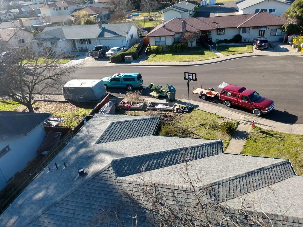 Local yard cleanup service in Lucerne, CA - Anthony's Property Restoration and Tree service