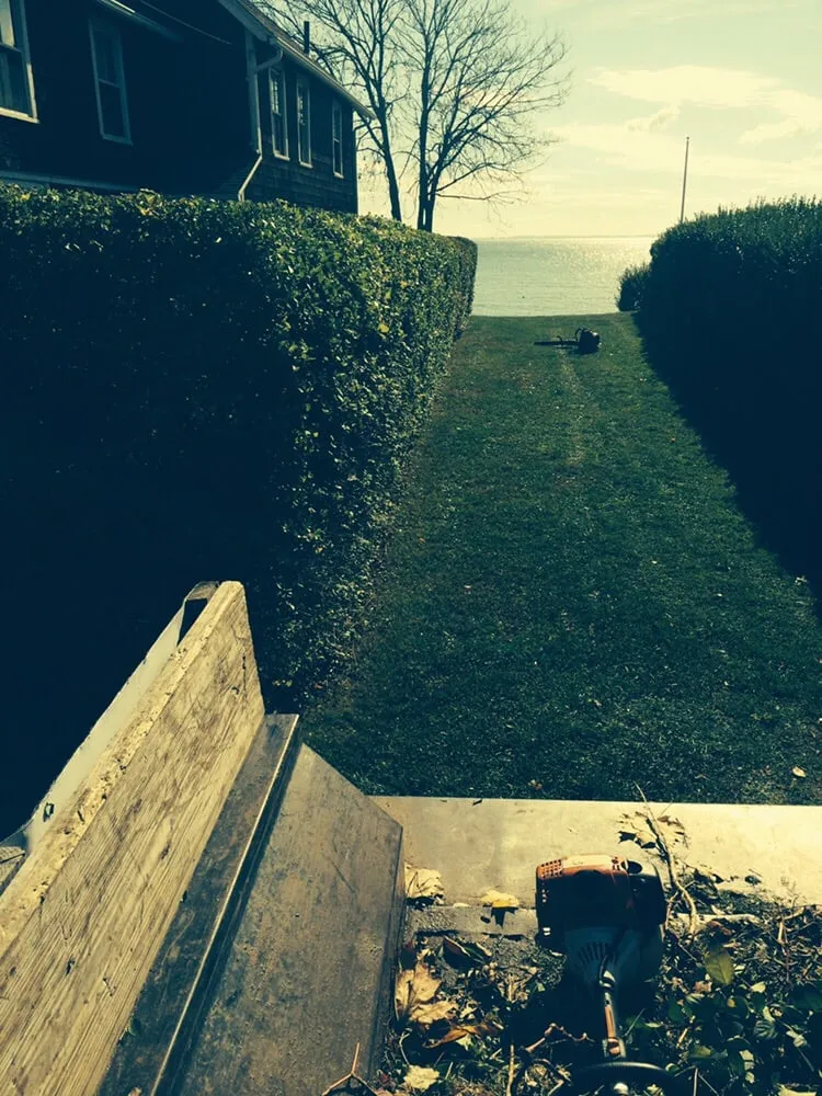 Trusted yard cleanup service for homes in Old Saybrook, CT by Anthony's Property Services