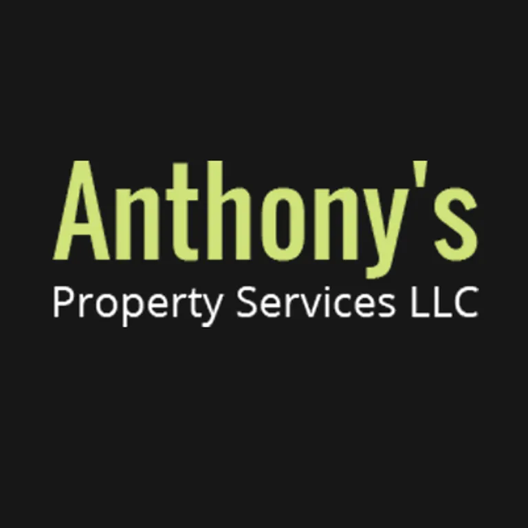 Reliable yard cleanup service experts serving Old Saybrook, CT - Anthony's Property Services