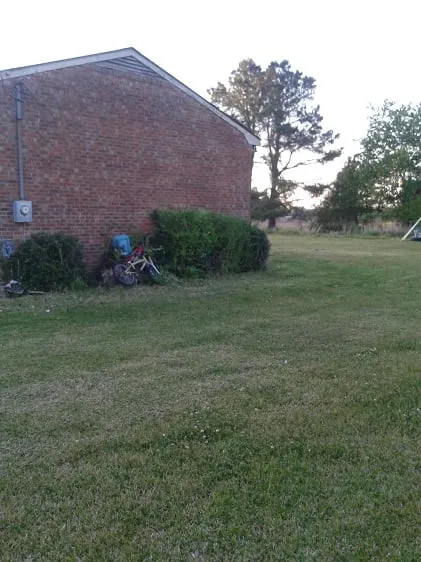 Expert lawn care service in New Bern, NC - Anthony's Towing and Lawn Services