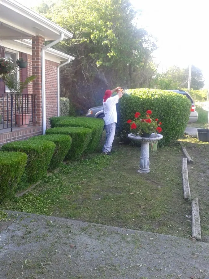 Professional yard cleanup service for outdoor upgrades in New Bern, NC by Anthony's Towing and Lawn Services