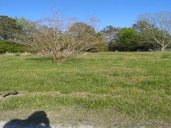 Reliable yard maintenance in New Bern, NC by Anthony's Towing and Lawn Services