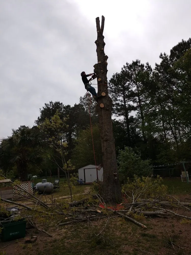 Expert yard cleanup service experts serving New Bern, NC - Anthony's Towing and Lawn Services