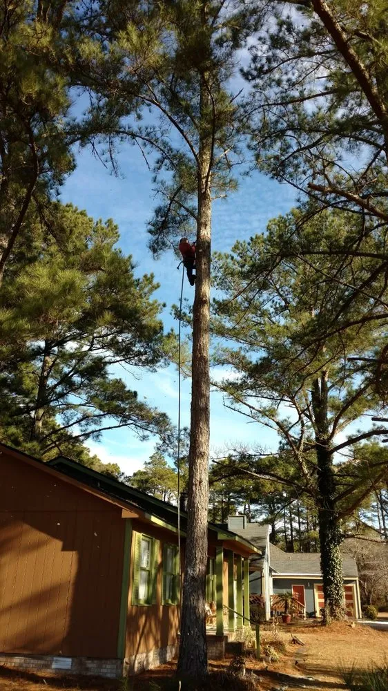 Professional outdoor landscaping in New Bern, NC by Anthony's Towing and Lawn Services