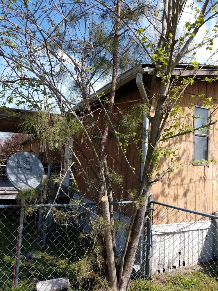 Custom yard cleanup service for year-round maintenance in New Bern, NC by Anthony's Towing and Lawn Services