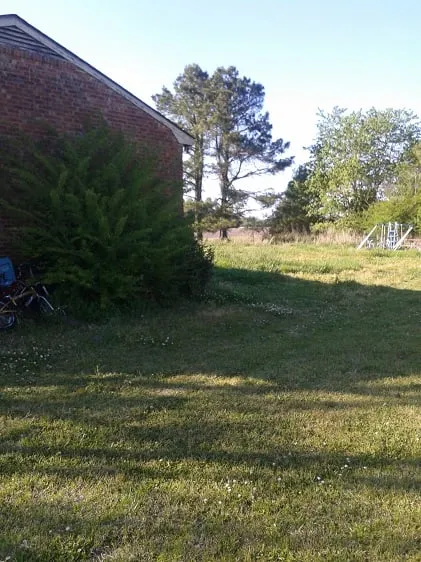 Top-rated landscaping services for outdoor upgrades across New Bern, NC - Anthony's Towing and Lawn Services