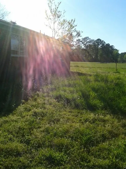 Custom lawn mowing service experts serving New Bern, NC - Anthony's Towing and Lawn Services