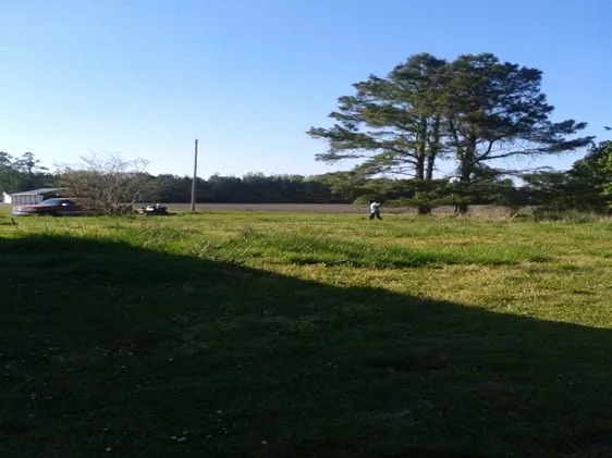 Affordable yard maintenance near you in New Bern, NC by Anthony's Towing and Lawn Services