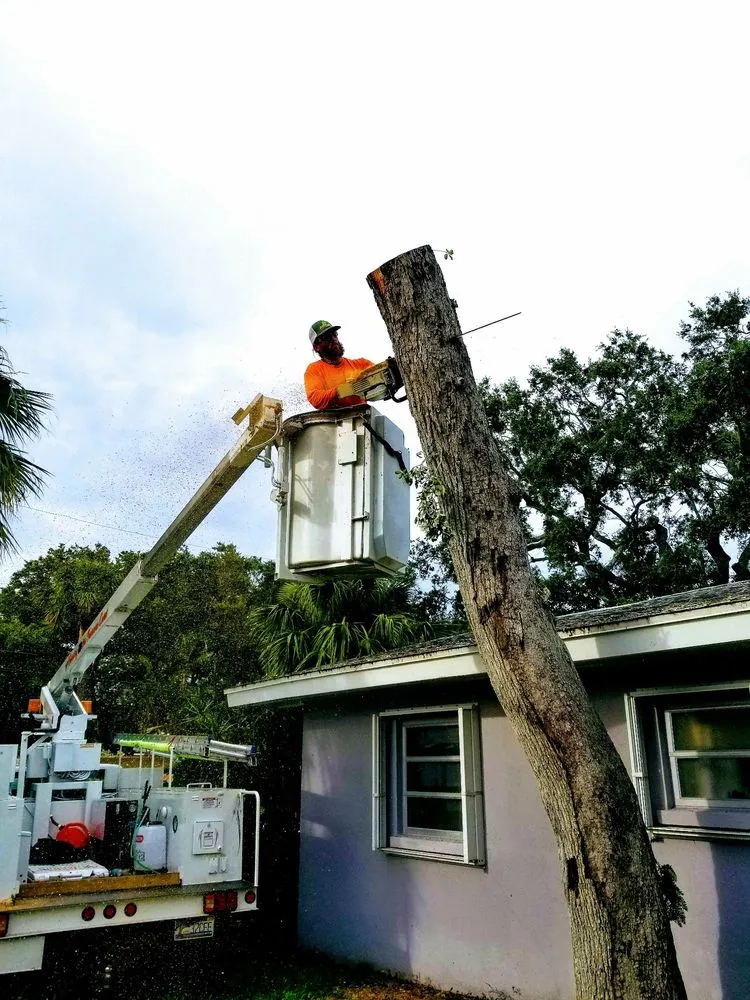 Trusted yard maintenance in Fort Pierce, FL by Anthonys Tree Company