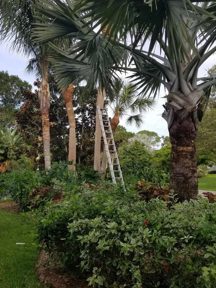 Custom garden landscaping in Fort Pierce, FL by Anthonys Tree Company