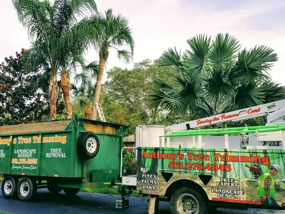 Custom yard cleanup service experts serving Fort Pierce, FL - Anthonys Tree Company