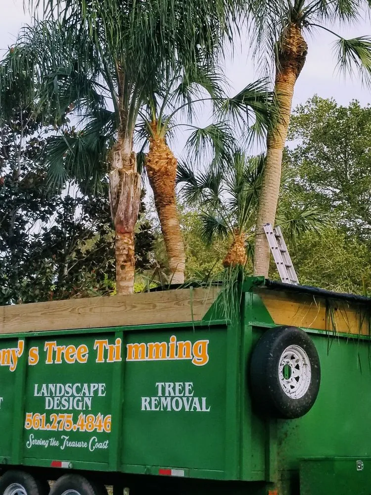 Top-rated landscape installation experts serving Fort Pierce, FL - Anthonys Tree Company