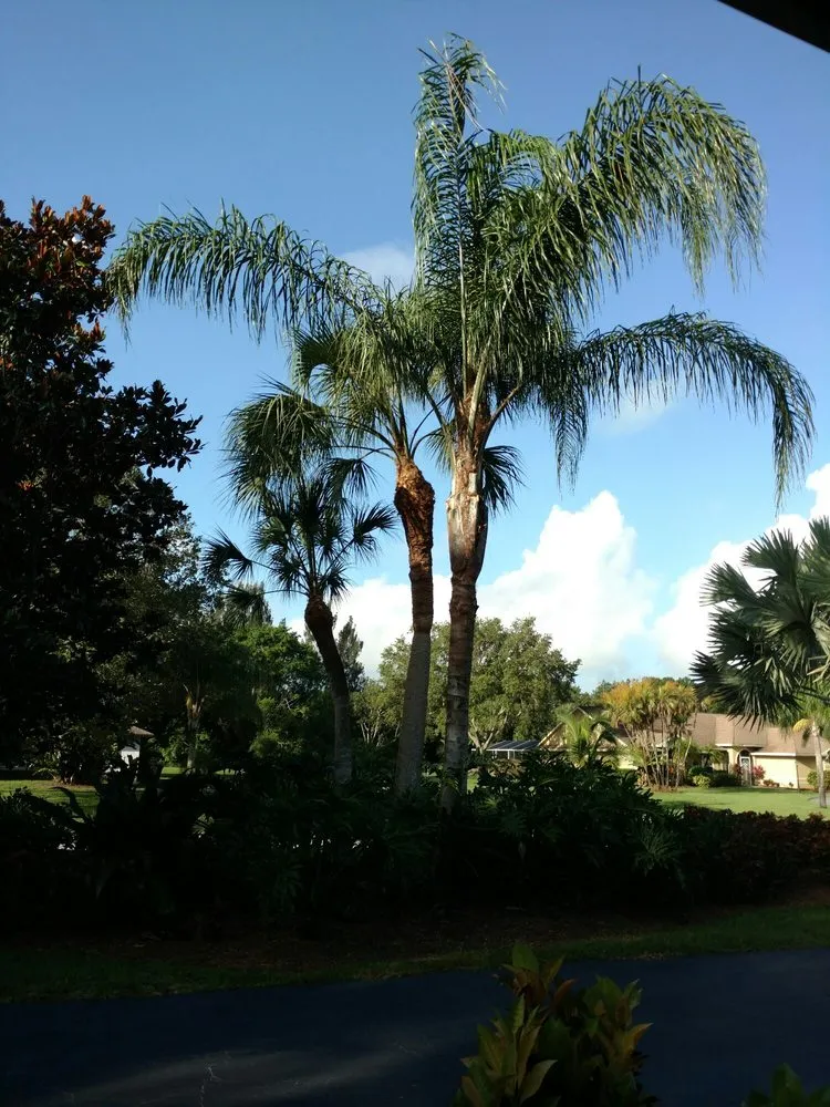 Trusted lawn care service for year-round maintenance across Fort Pierce, FL - Anthonys Tree Company
