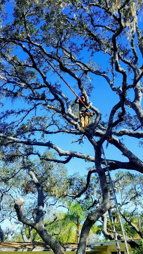 Professional lawn care service with custom design in Fort Pierce, FL by Anthonys Tree Company