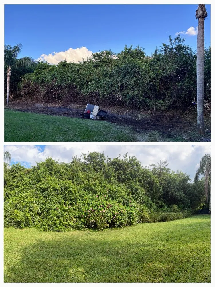 Affordable landscaping services for residential properties across Fort Pierce, FL - Anthonys Tree Company