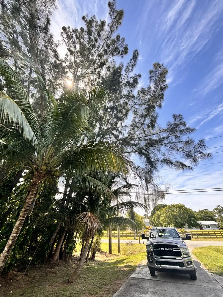 Reliable lawn care service experts serving Fort Pierce, FL - Anthonys Tree Company