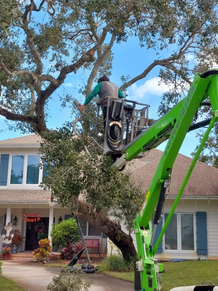 Custom outdoor landscaping experts serving Fort Pierce, FL - Anthonys Tree Company