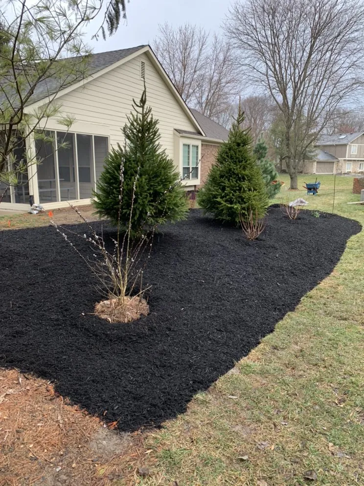 Local landscape design in Carmel, IN - Anthony's Tree Service & Landscape