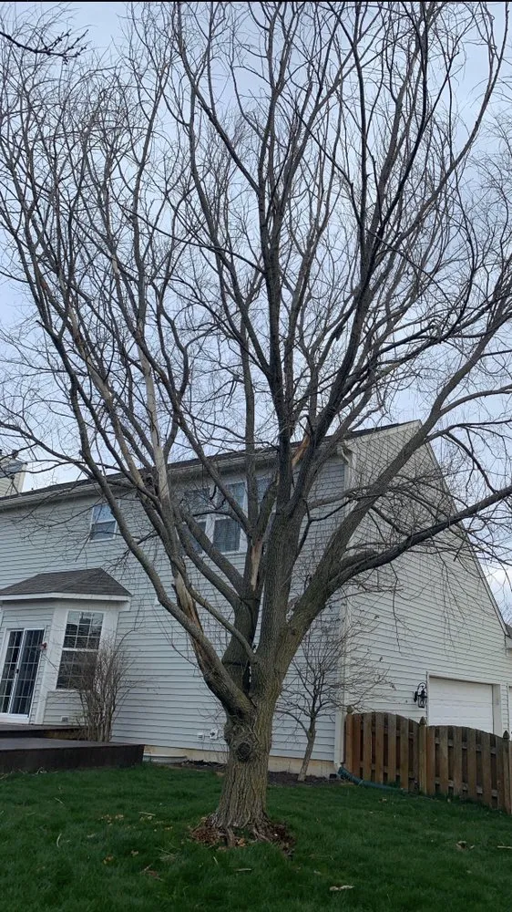 Trusted lawn mowing service experts serving Carmel, IN - Anthony's Tree Service & Landscape