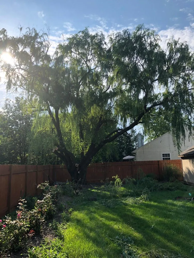 Reliable outdoor landscaping in Carmel, IN by Anthony's Tree Service & Landscape