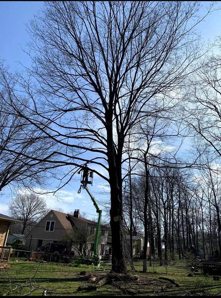 Top-rated landscape design in Carmel, IN by Anthony's Tree Service & Landscape