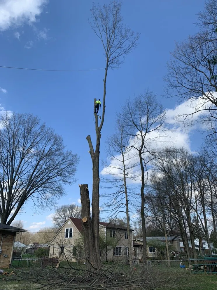 Affordable lawn care service near you across Carmel, IN - Anthony's Tree Service & Landscape