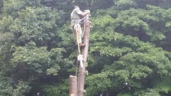 Trusted outdoor landscaping in Lagrangeville, NY - Anthony's Tree Service