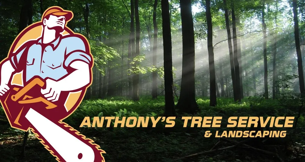 Trusted lawn mowing service experts serving Lagrangeville, NY - Anthony's Tree Service
