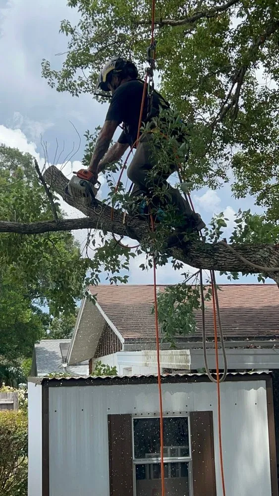Custom yard maintenance with custom design in Inverness, FL by Anthony’s Trees and Lawn Landscaping