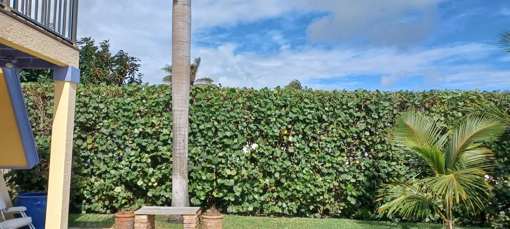 Trusted landscape installation for residential properties in Lake Worth Beach, FL by Anthonyscape