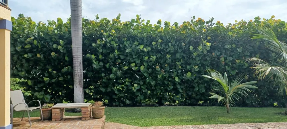 Reliable garden landscaping in Lake Worth Beach, FL by Anthonyscape