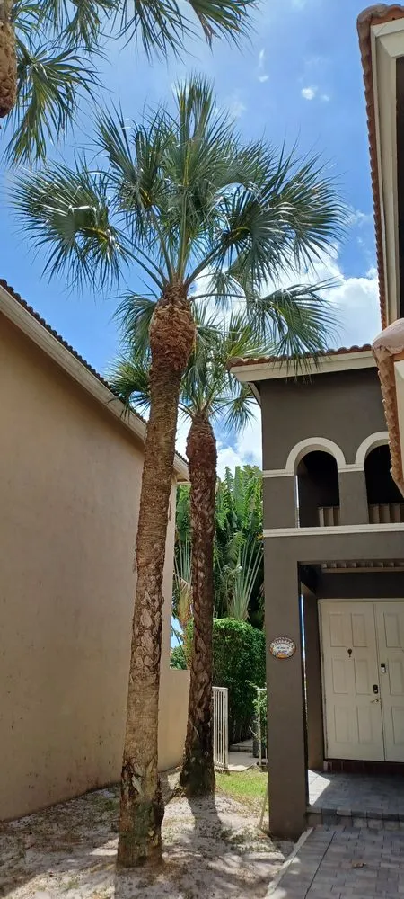 Top-rated yard maintenance in Lake Worth Beach, FL by Anthonyscape