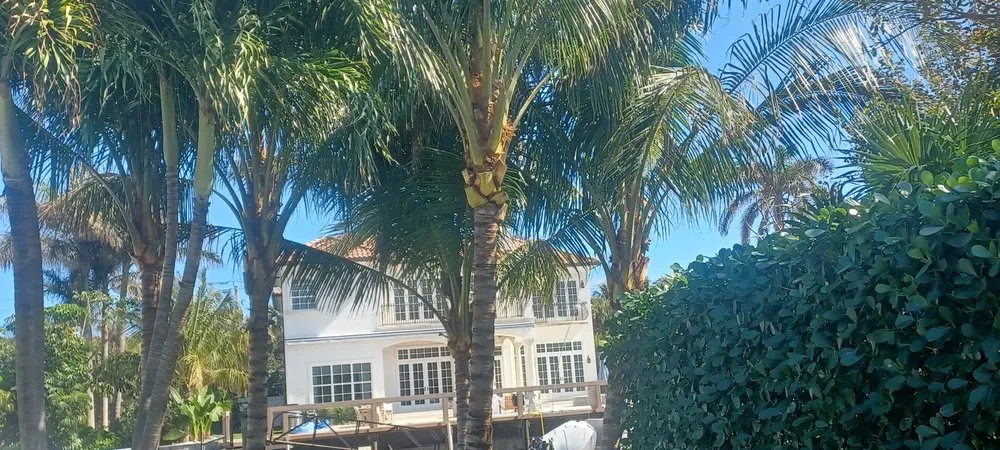 Top-rated yard cleanup service in Lake Worth Beach, FL - Anthonyscape