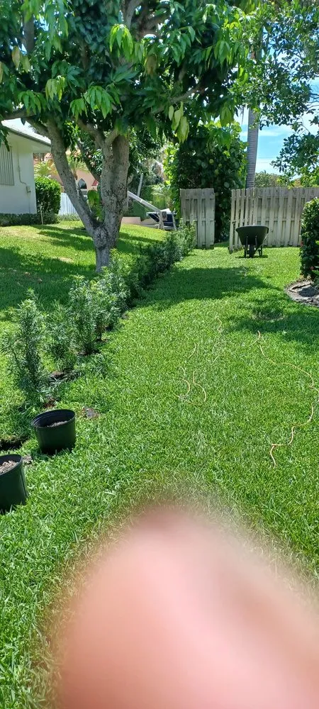 Affordable yard maintenance in Lake Worth Beach, FL - Anthonyscape