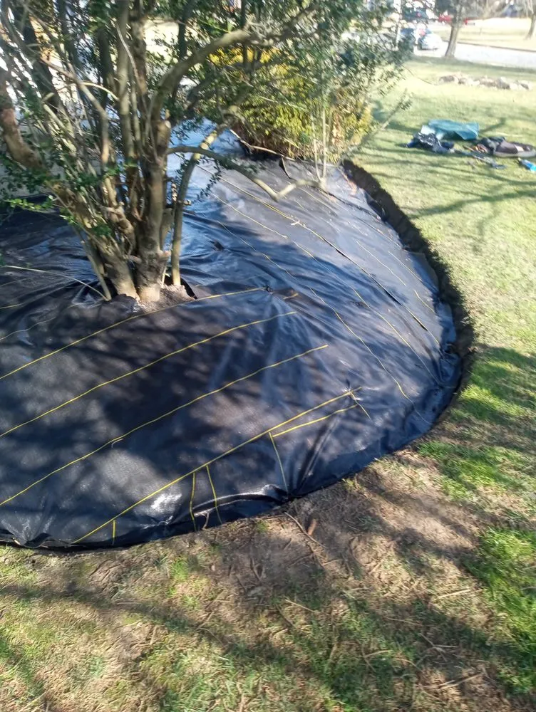 Top-rated landscape installation in Mount Holly, NJ - Anthos Landscaping