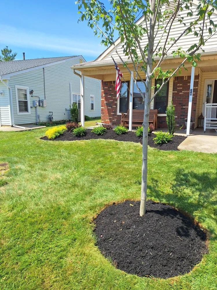 Top-rated landscape design near you in Mount Holly, NJ by Anthos Landscaping