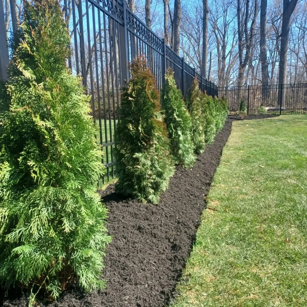 Custom landscaping services for beautiful yards across Mount Holly, NJ - Anthos Landscaping