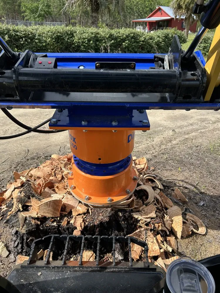 Affordable landscape design for homes in Brunswick, GA by Anthropogenic Ecosystems