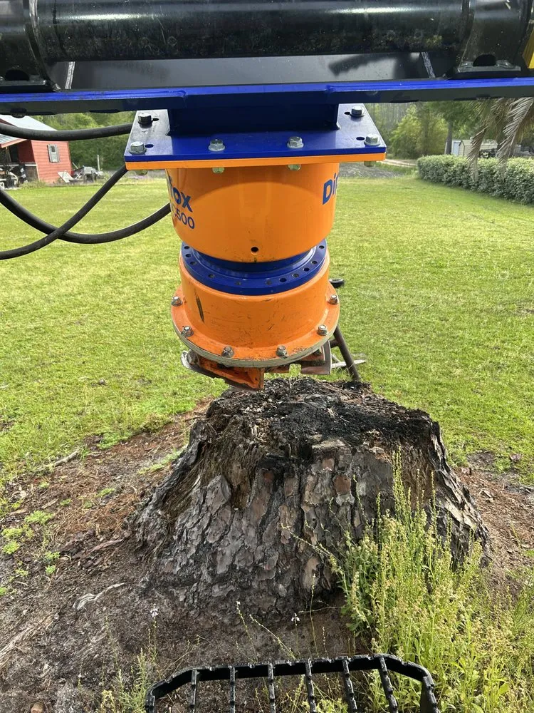 Professional garden landscaping for outdoor upgrades in Brunswick, GA by Anthropogenic Ecosystems