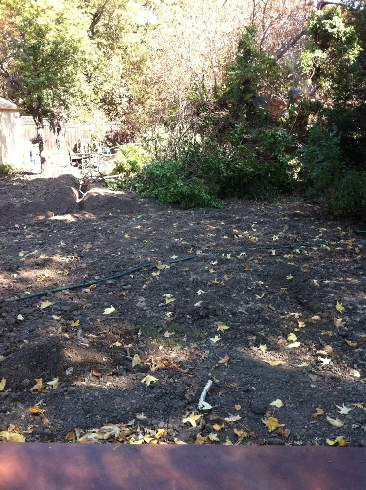 Affordable outdoor landscaping in Lafayette, CA - Antigua Landscapes