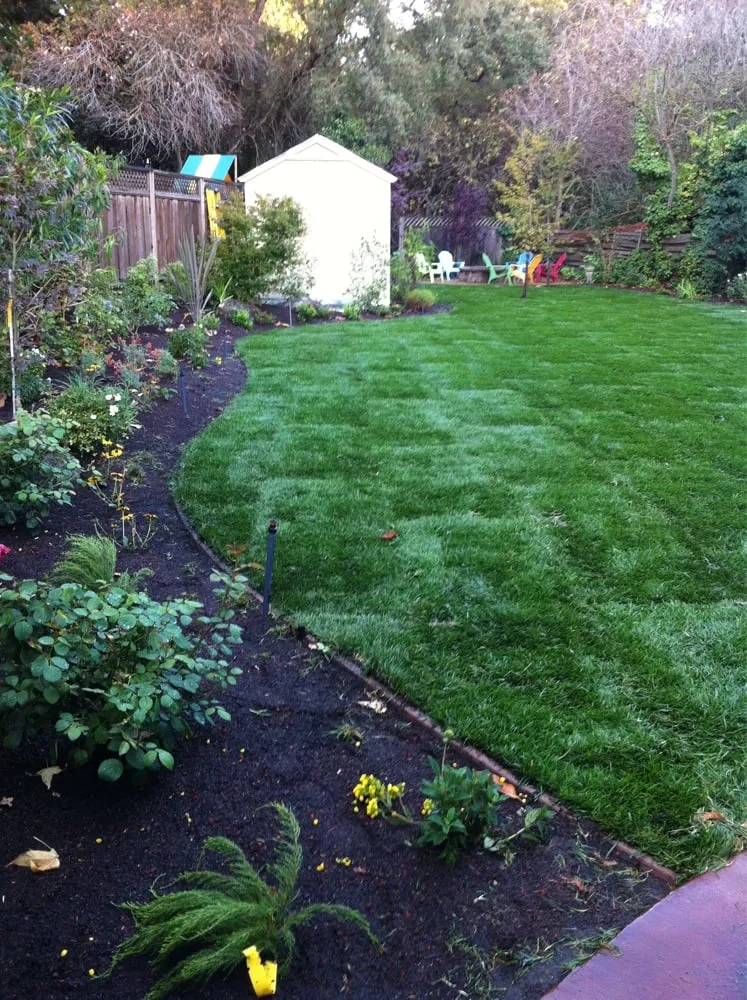 Professional garden landscaping in Lafayette, CA - Antigua Landscapes