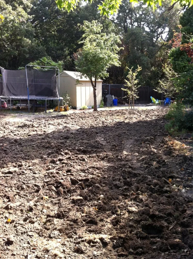 Trusted landscape design for homes in Lafayette, CA by Antigua Landscapes