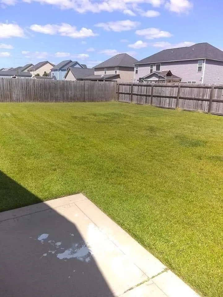 Top-rated yard maintenance in Fayetteville, NC by Antman Lawn Service