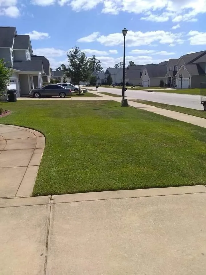 Expert lawn care service in Fayetteville, NC by Antman Lawn Service