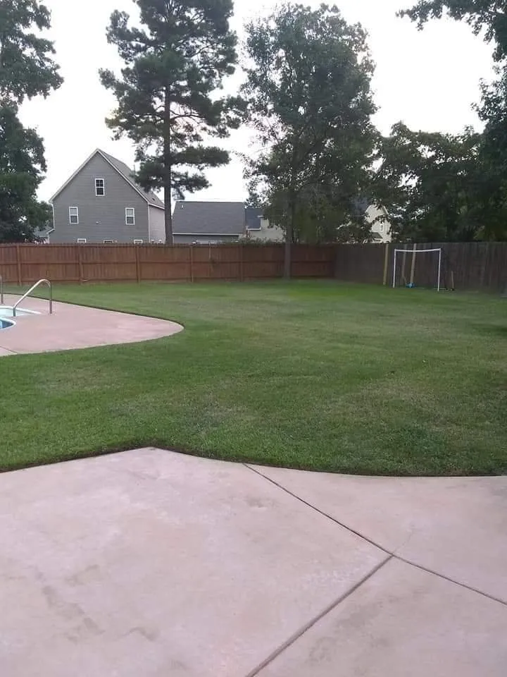 Trusted yard cleanup service in Fayetteville, NC - Antman Lawn Service