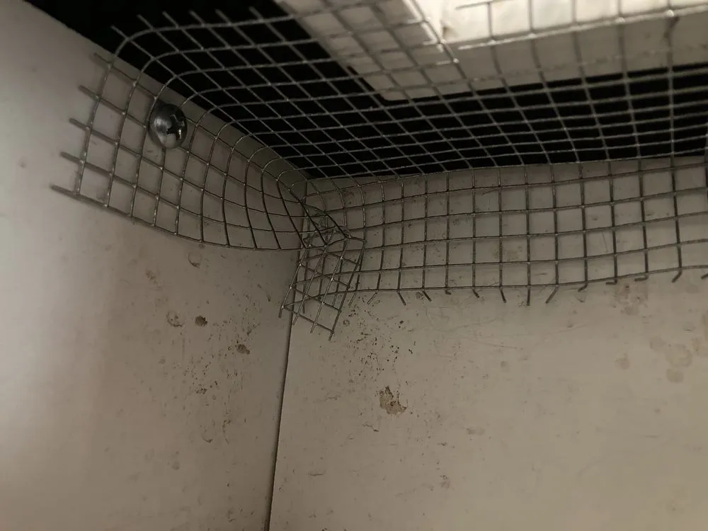 Reliable landscaping services in Doraville, GA - Antman's Lawn Mosquito and Pest Solutions